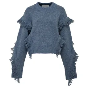 Long Sleeve Crewneck Sweater With Fringe Trim