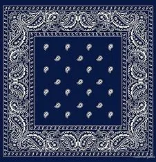 Paisley Bandanas