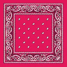 Paisley Bandanas