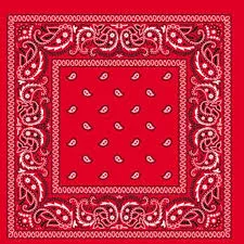 Paisley Bandanas