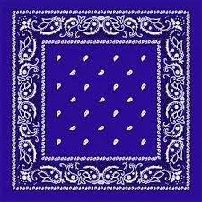 Paisley Bandanas